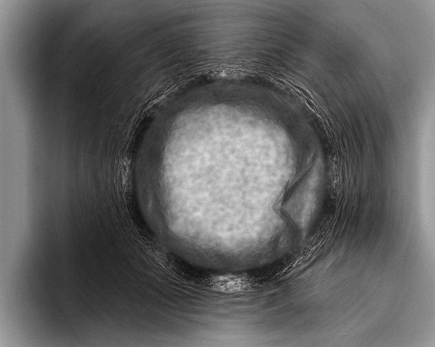 X0000096190511200802081523