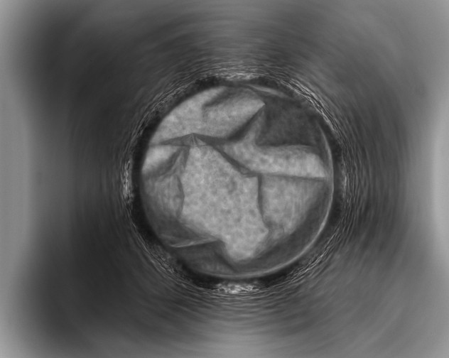 X0000096190512200802081523