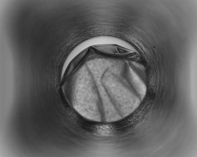 X0000096190513200802081523