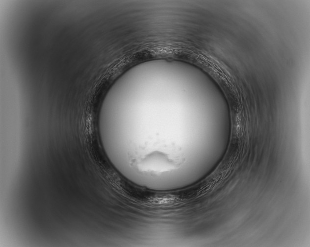 X0000096190514200802081523