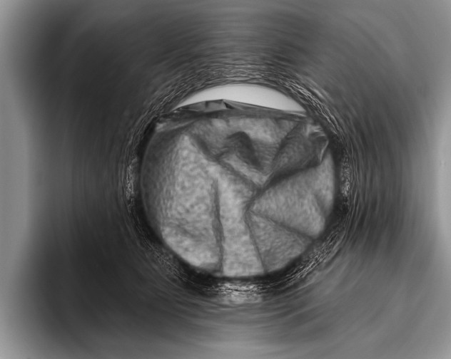 X0000096190515200802081522