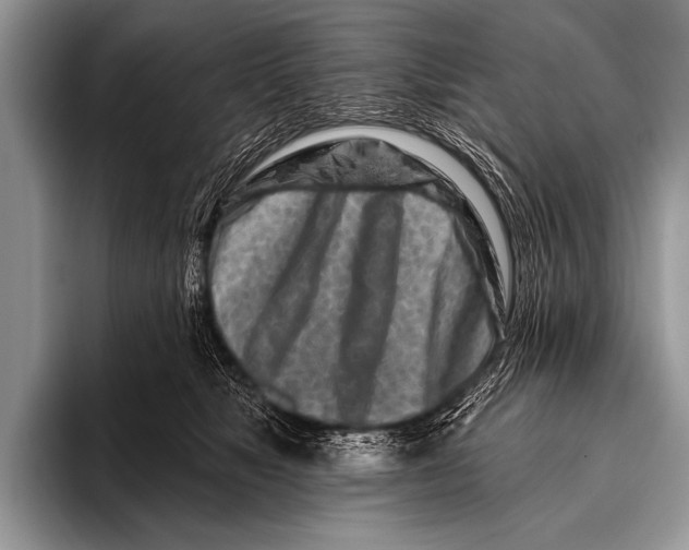 X0000096190517200802081522