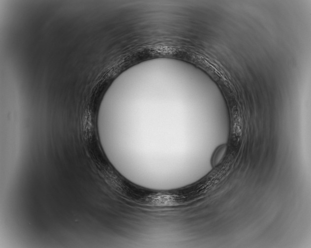 X0000096190518200802081522