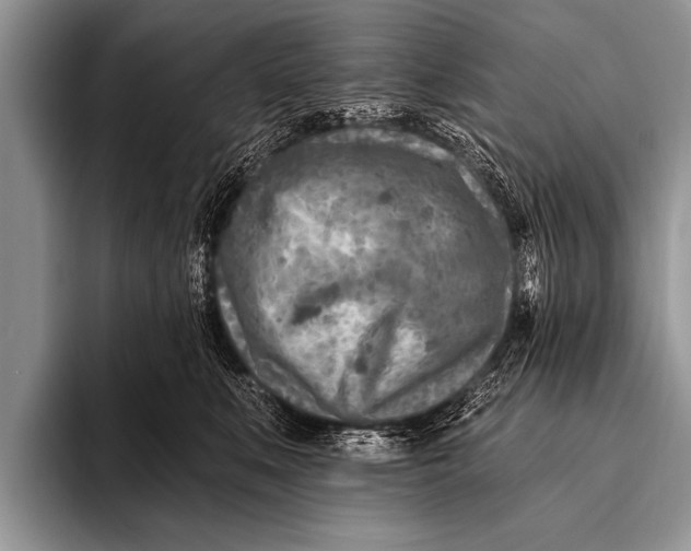 X0000096190519200802081522