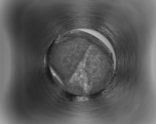 X0000096190520200802081522