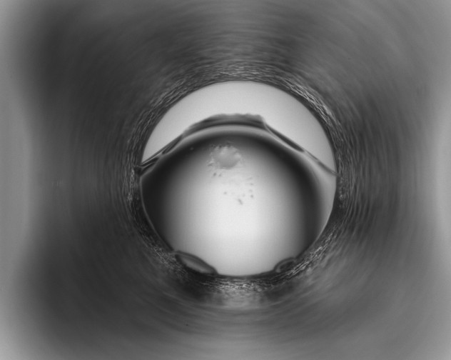 X0000096190521200802081522