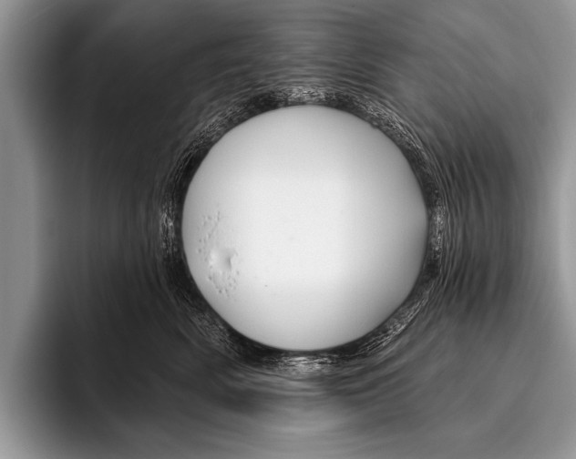 X0000096190522200802081522