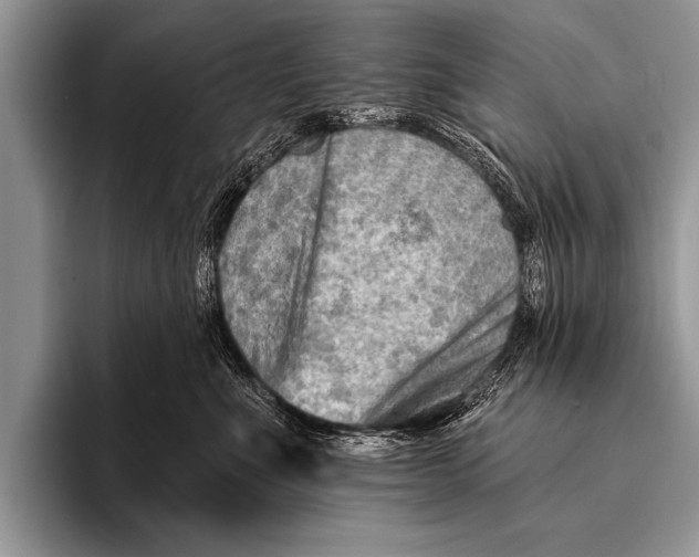 X0000096190523200802081522