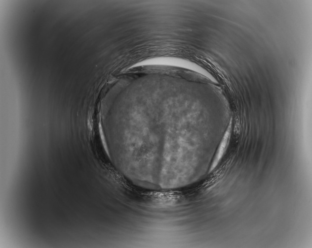 X0000096190524200802081522