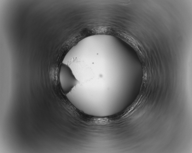 X0000096190525200802081522