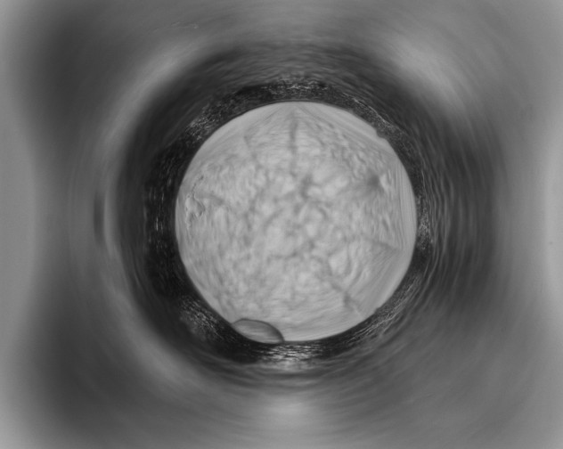 X0000096190526200802081522