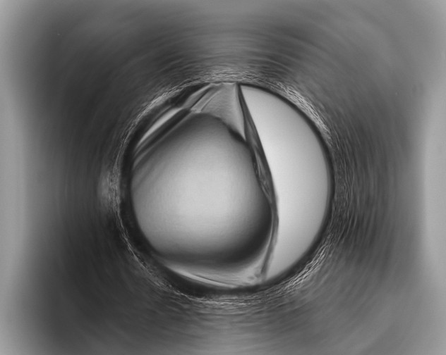 X0000096190530200802081522