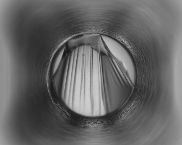 X0000096190532200802081522