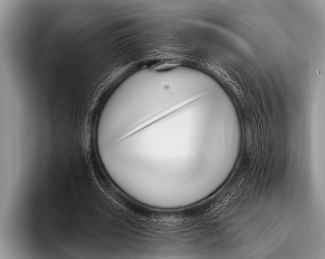 X0000096190533200802081522