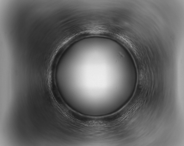 X0000096190535200802081522