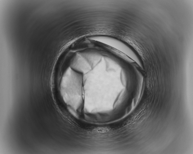 X0000096190536200802081522