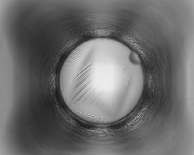 X0000096190537200802081522