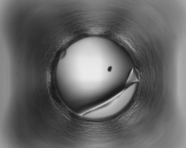 X0000096190539200802081522