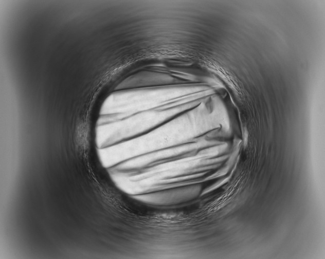 X0000096190540200802081522