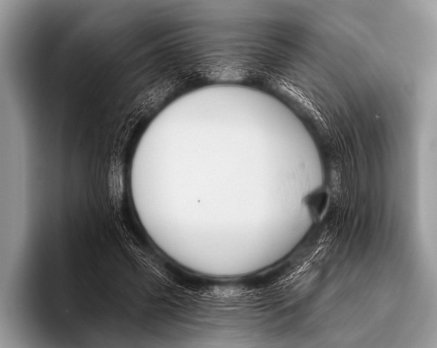 X0000096190541200802081522