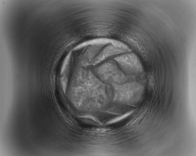 X0000096190542200802081522