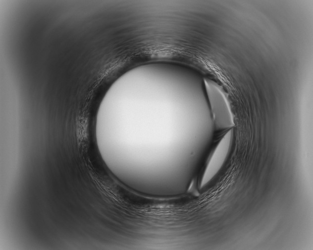 X0000096190543200802081522