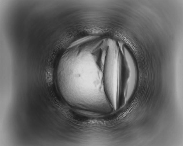 X0000096190545200802081522