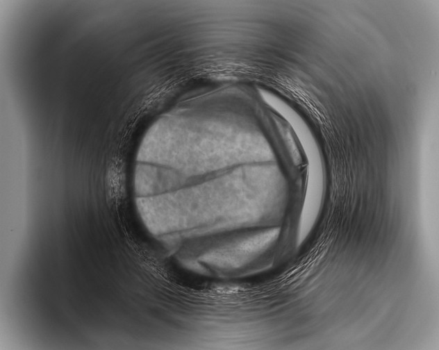 X0000096190547200802081522