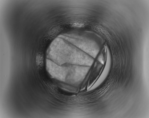 X0000096190551200802081522