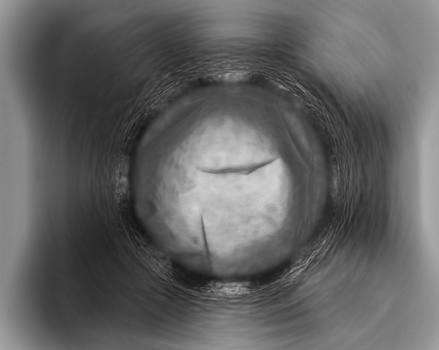 X0000096190553200802081522