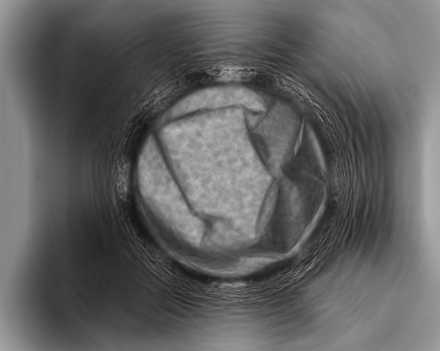 X0000096190554200802081522