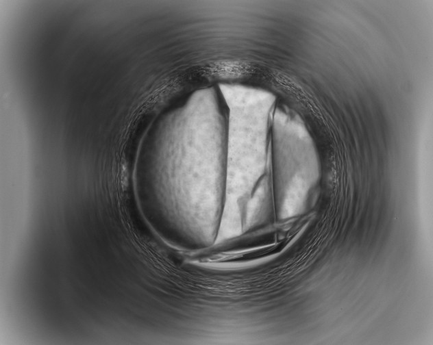 X0000096190555200802081522