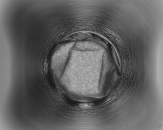 X0000096190558200802081522