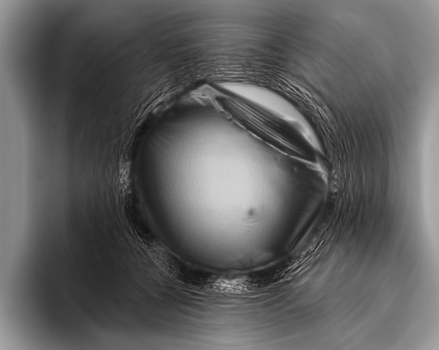 X0000096190560200802081522