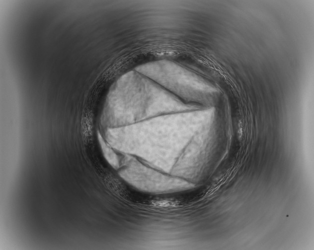 X0000096190561200802081522