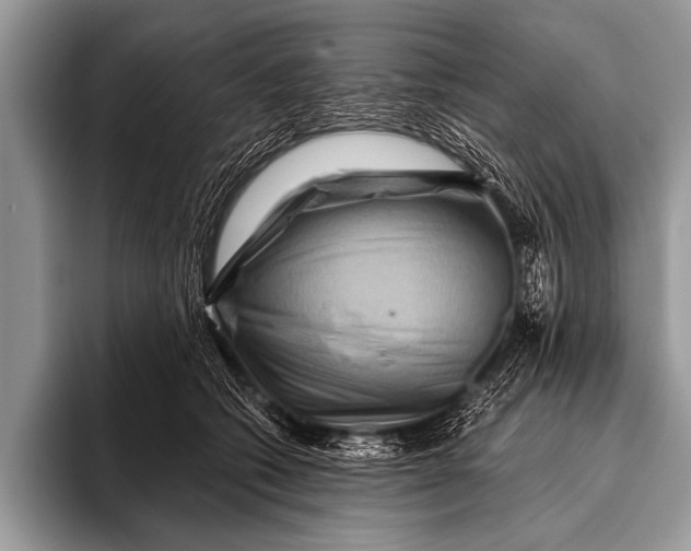 X0000096190562200802081522