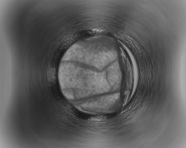 X0000096190563200802081522