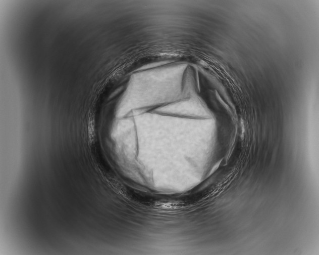 X0000096190564200802081522