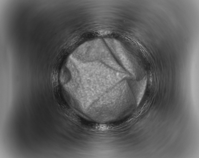 X0000096190565200802081522