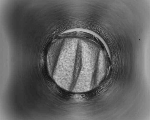 X0000096190566200802081522