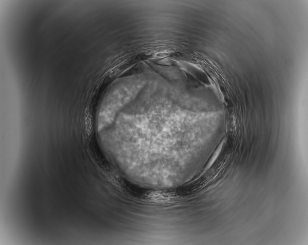 X0000096190568200802081522