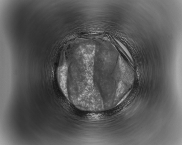 X0000096190570200802081522