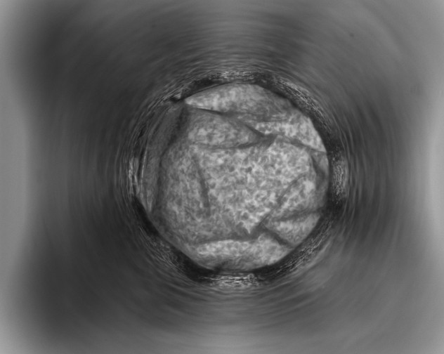 X0000096190571200802081522