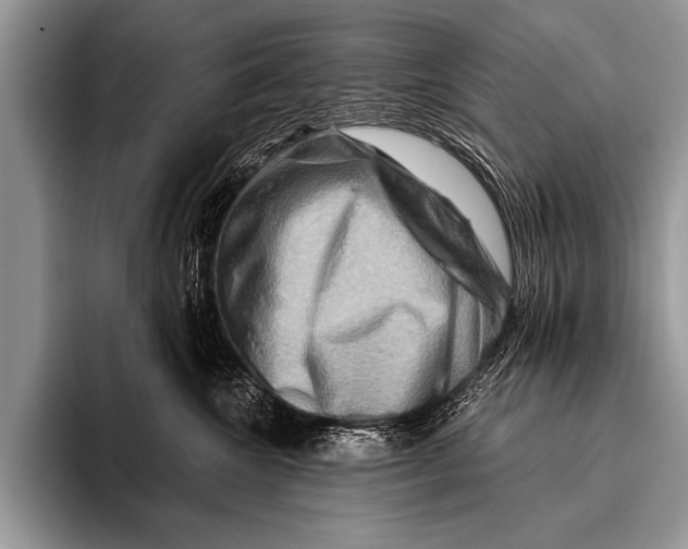 X0000096190572200802081522