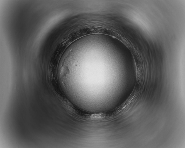 X0000096190574200802081522