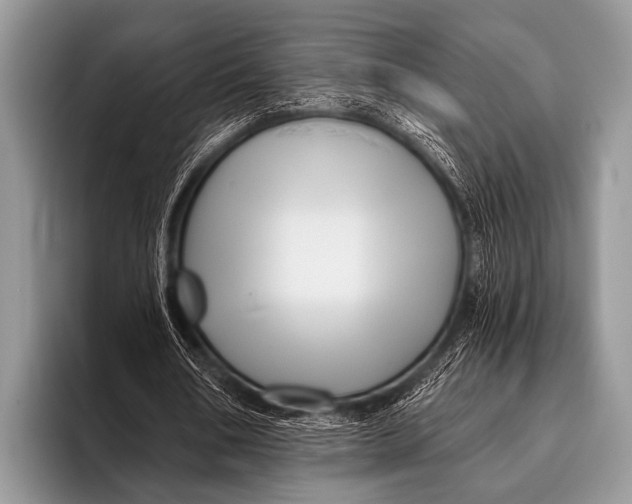 X0000096190578200802081522