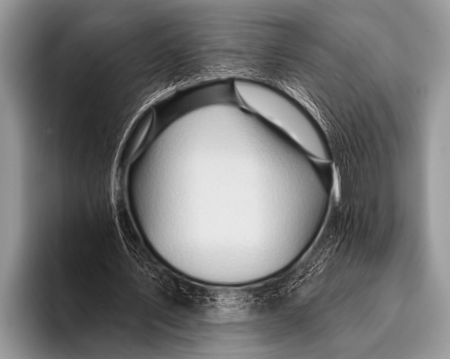 X0000096190579200802081522