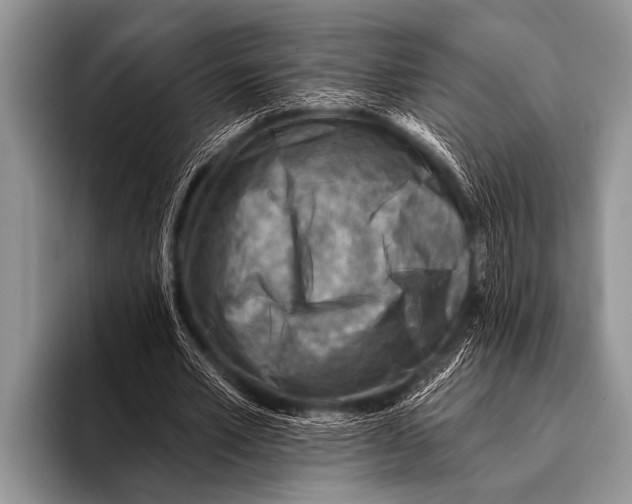 X0000096190581200802081522