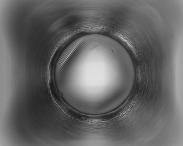 X0000096190582200802081522