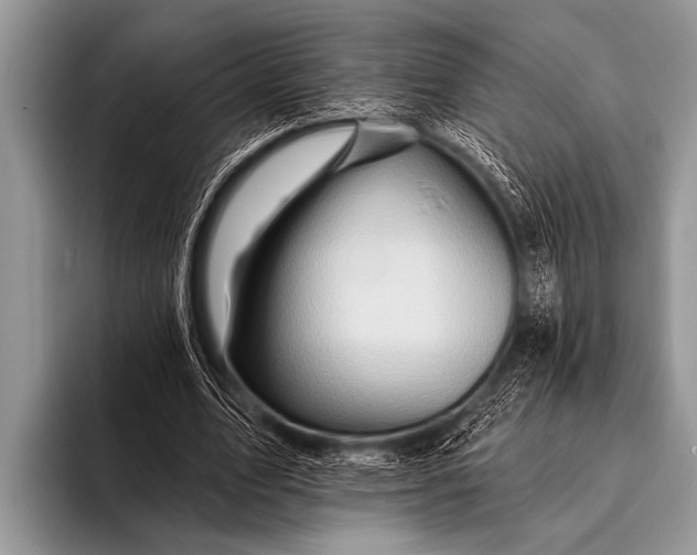 X0000096190583200802081522